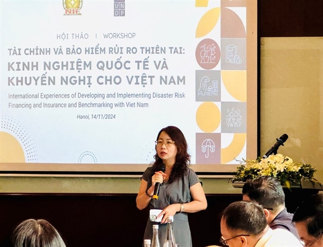 Vi&#x1EC7;t Nam&#xA0;needs to build a strategy for disaster risk financing and insurance